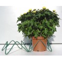 Lot de 3 Porte-Pots
